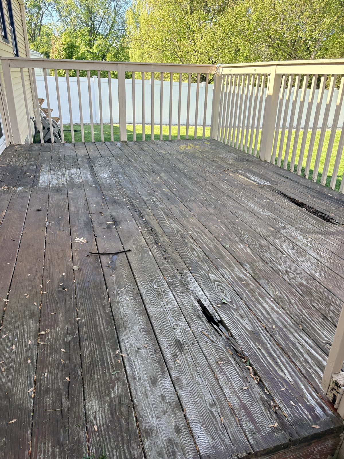 Eastern Edge project 2