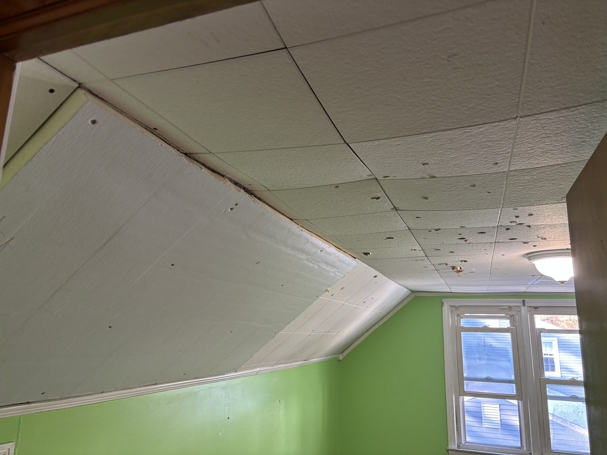 Eastern Edge project