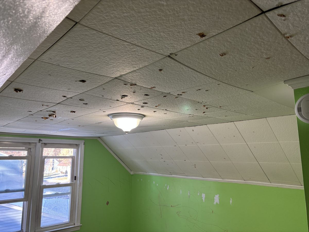 Eastern Edge project